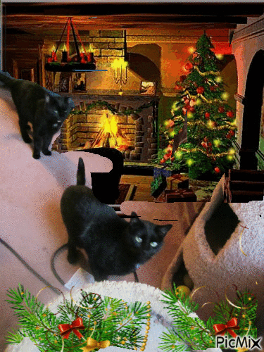 Holiday kittys - Free animated GIF