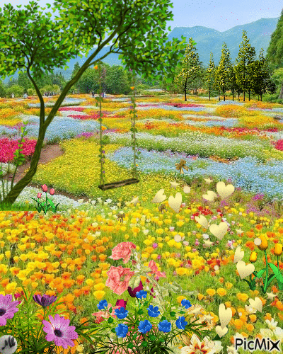 Campo de flores - Nemokamas animacinis gif