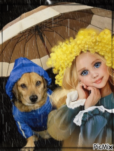 Personne sous la pluie avec un chien. - Gratis animeret GIF