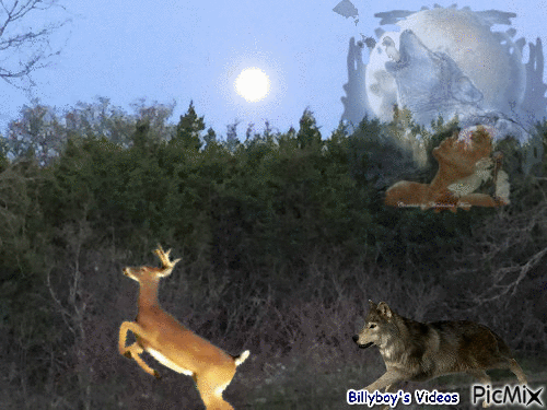 Deer Wolf - GIF animado gratis