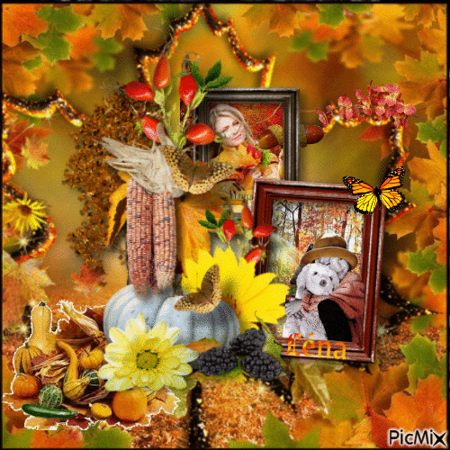 Automne amour - Free animated GIF