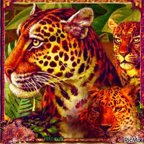 Leopard - Безплатен анимиран GIF