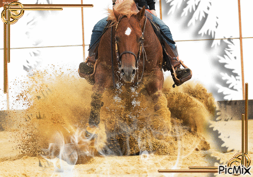 la passion des chevaux!! - Δωρεάν κινούμενο GIF
