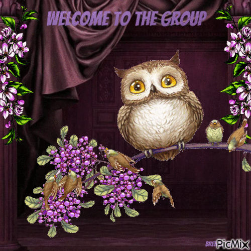 welcome owl - Ücretsiz animasyonlu GIF