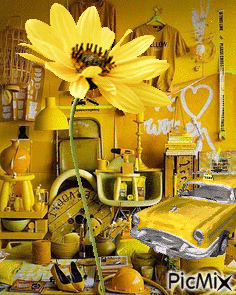 Cuarto de amarillos - Δωρεάν κινούμενο GIF