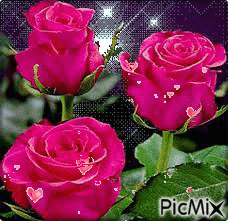 rózsa - GIF animate gratis