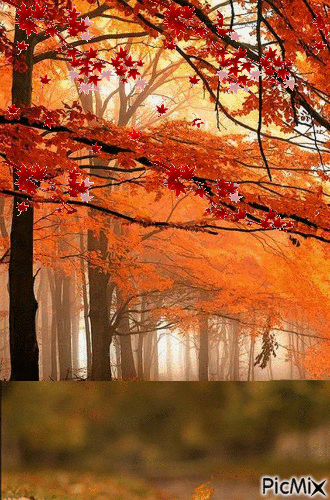 Collage de otoño - Free animated GIF