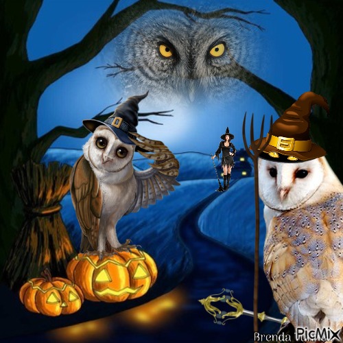 halloween owl - png grátis