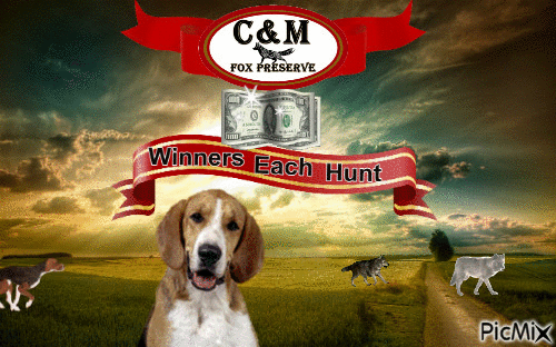 cm hunts - GIF animate gratis