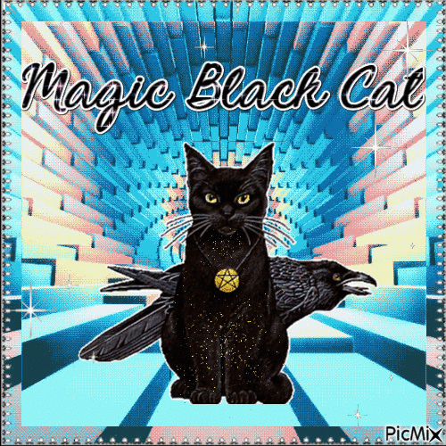 Magic Cat - 無料のアニメーション GIF