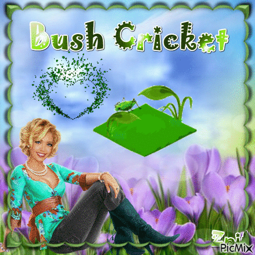 Bush Cricket - GIF animé gratuit