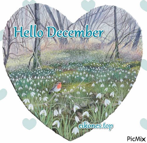 Hello December - darmowe png