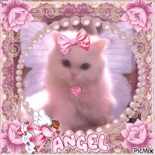 Angel Kitty - GIF เคลื่อนไหวฟรี