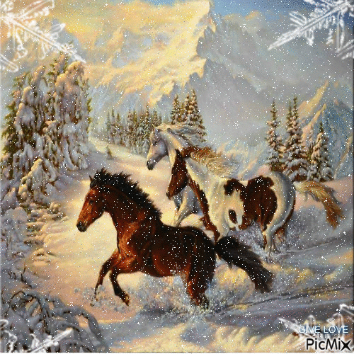 horses - Δωρεάν κινούμενο GIF