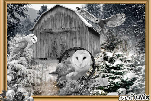 winter owl - Ingyenes animált GIF