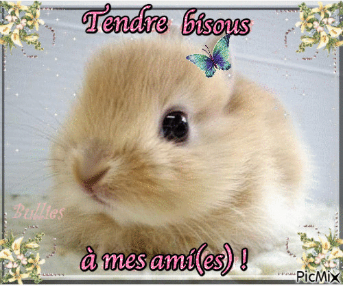 tendre bisous à mes ami(es) ! - Free animated GIF