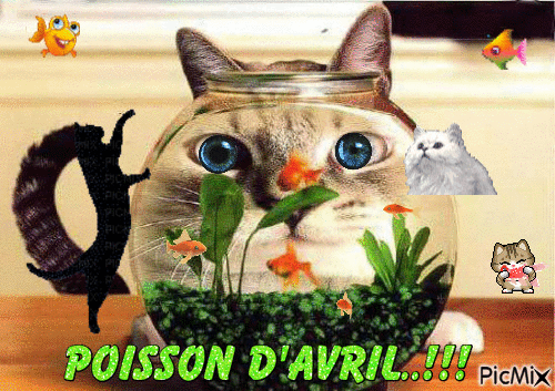 poisson d'avril - Безплатен анимиран GIF