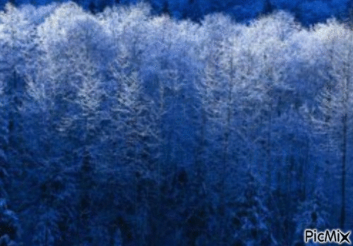 hiver - Besplatni animirani GIF
