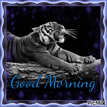 Good Morning Tiger - Бесплатный анимированный гифка