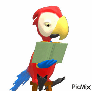 Zaczytana Papuga - Ilmainen animoitu GIF