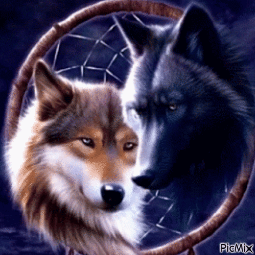 Wolves - Animovaný GIF zadarmo