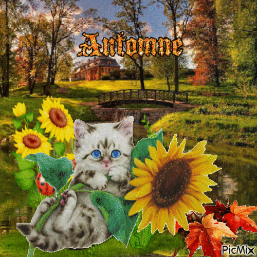 Herbst automne autumn - Ilmainen animoitu GIF