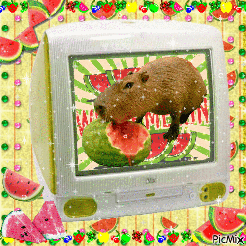 Capybara eat watermelon - Бесплатный анимированный гифка