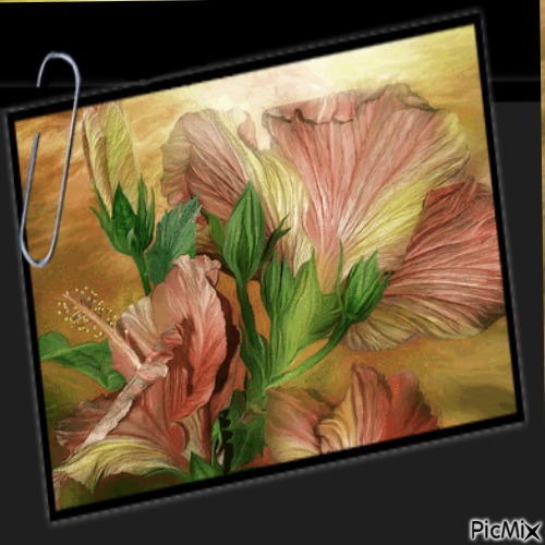 Blumenbild - PNG gratuit
