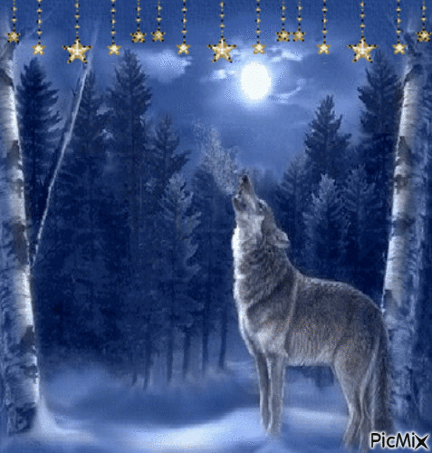 wolf 8 - GIF animé gratuit