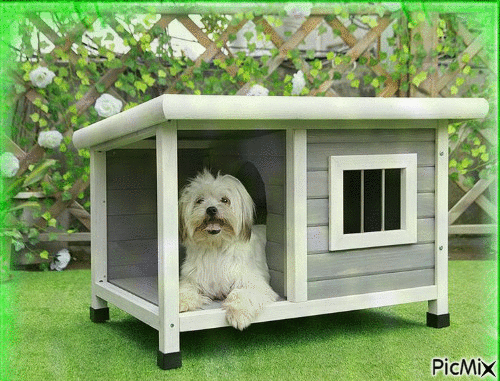 Dog house - Free animated GIF - PicMix