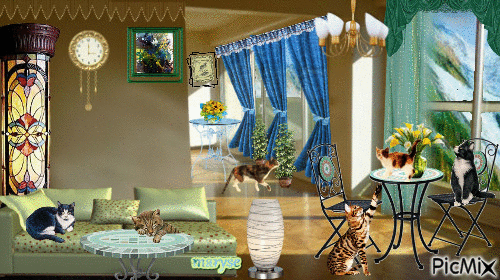 les chats - Bezmaksas animēts GIF