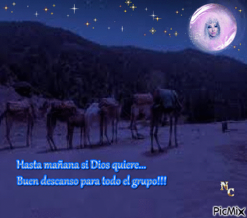 Buenas noches... - Free animated GIF