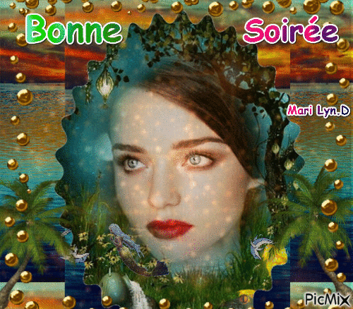 BONNE SOIREE - 無料のアニメーション GIF