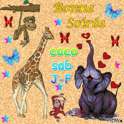 BONNE SOIREE - Nemokamas animacinis gif