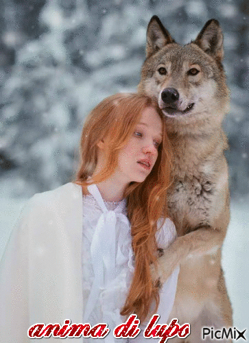 anima di lupo - Gratis animerad GIF