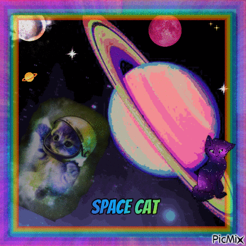 Space Cat - GIF animate gratis