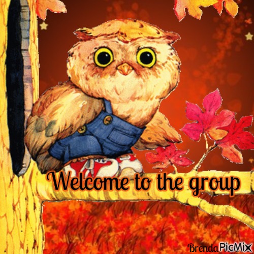 welcome owl - zadarmo png