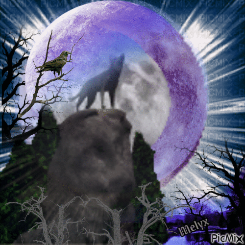 night wolf - GIF animé gratuit