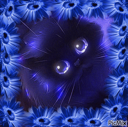 Chat et fleurs - Free animated GIF