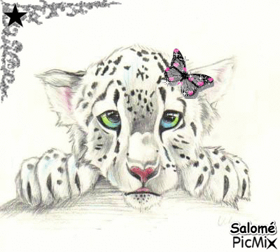 leopard - GIF animado grátis