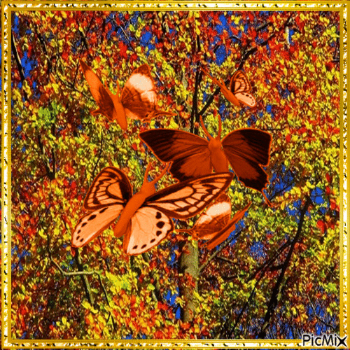 envolée de papillons - Бесплатный анимированный гифка