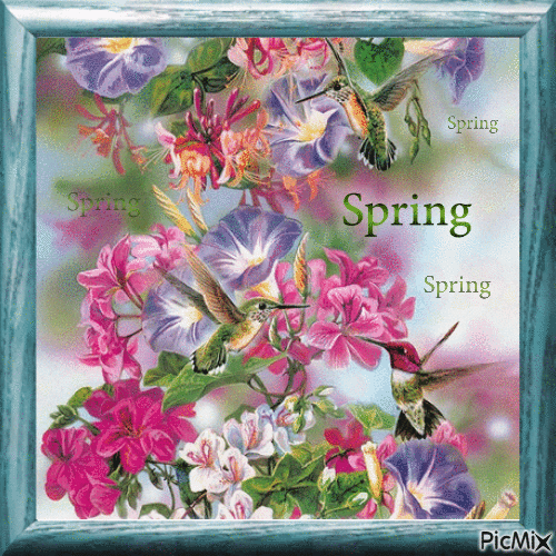 Spring and birds - Ilmainen animoitu GIF