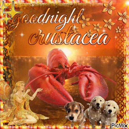 goodnight, crustacea - GIF animé gratuit