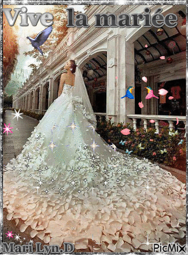 vive la mariée - 無料のアニメーション GIF