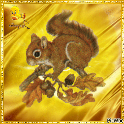 petit écureuil - Gratis animeret GIF