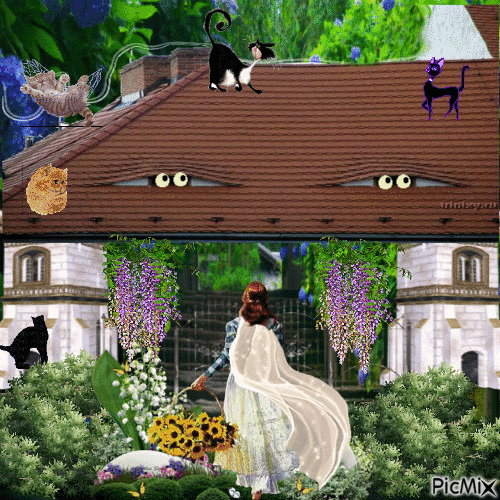 коты на крыше - GIF animasi gratis