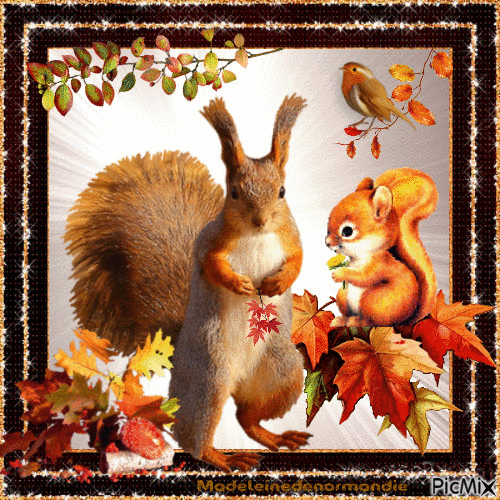 les écureuils - GIF animado gratis
