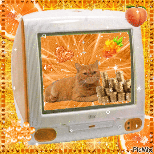 🐈 Money cat Momo 💰 - GIF animado gratis