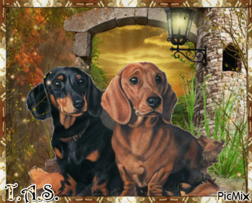 CHIENS - Free animated GIF