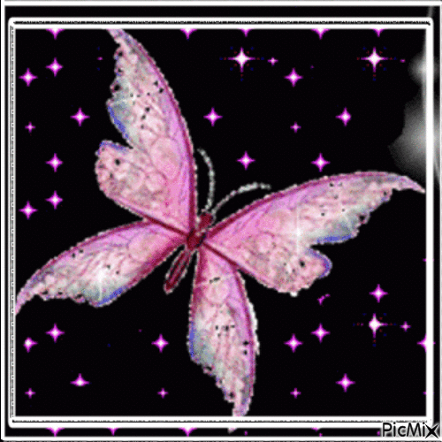 Beautiful butterfly - Free animated GIF - PicMix